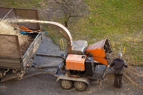Why Homeowners Trust Sindt Tree Service for Tree Maintenance