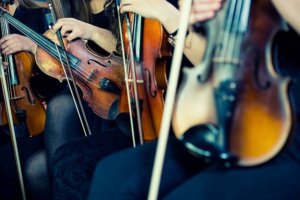 What Is the Best Beginner Mandolin for Easy Learning and Great Sound?