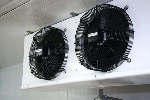 Smart Commercial Refrigeration Choices for Growing Companies