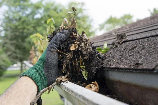 Affordable Gutter Cleaning Services for Better Property Care